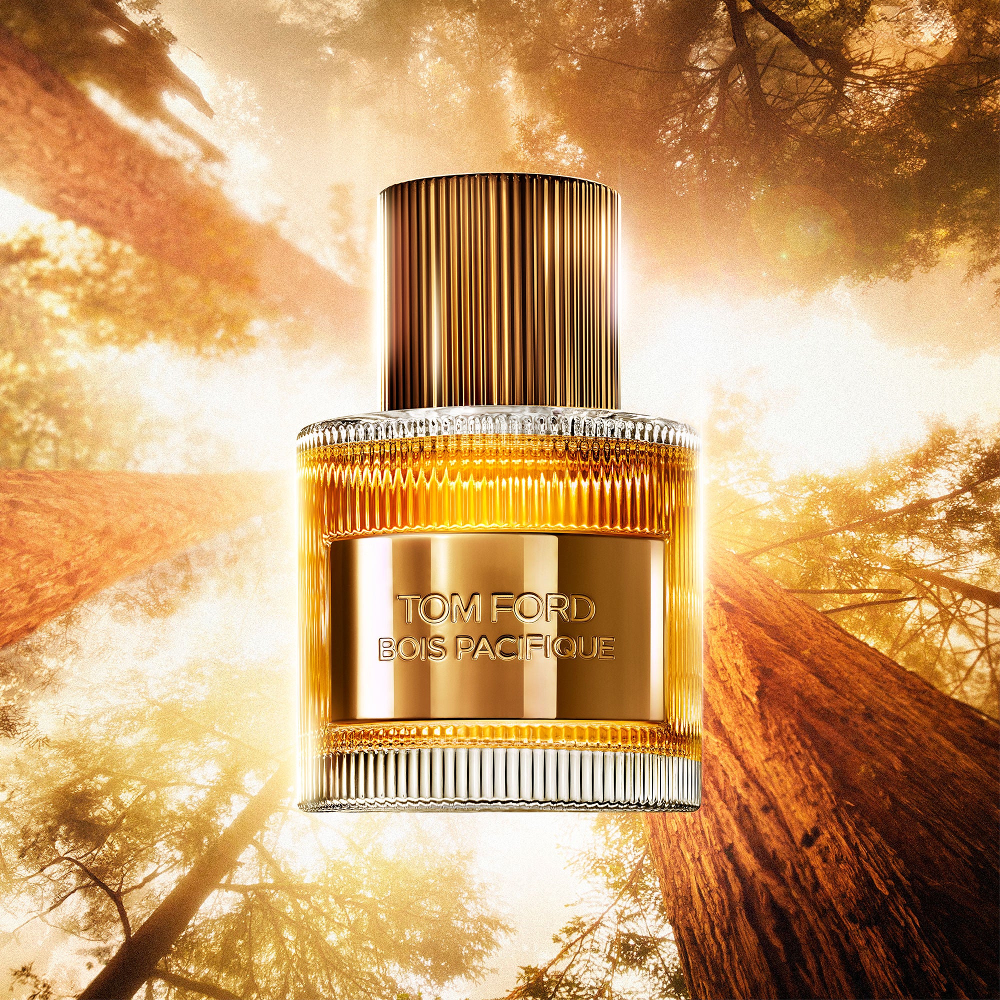 Bois Pacifique Eau De Parfum Fragrance - Image 2