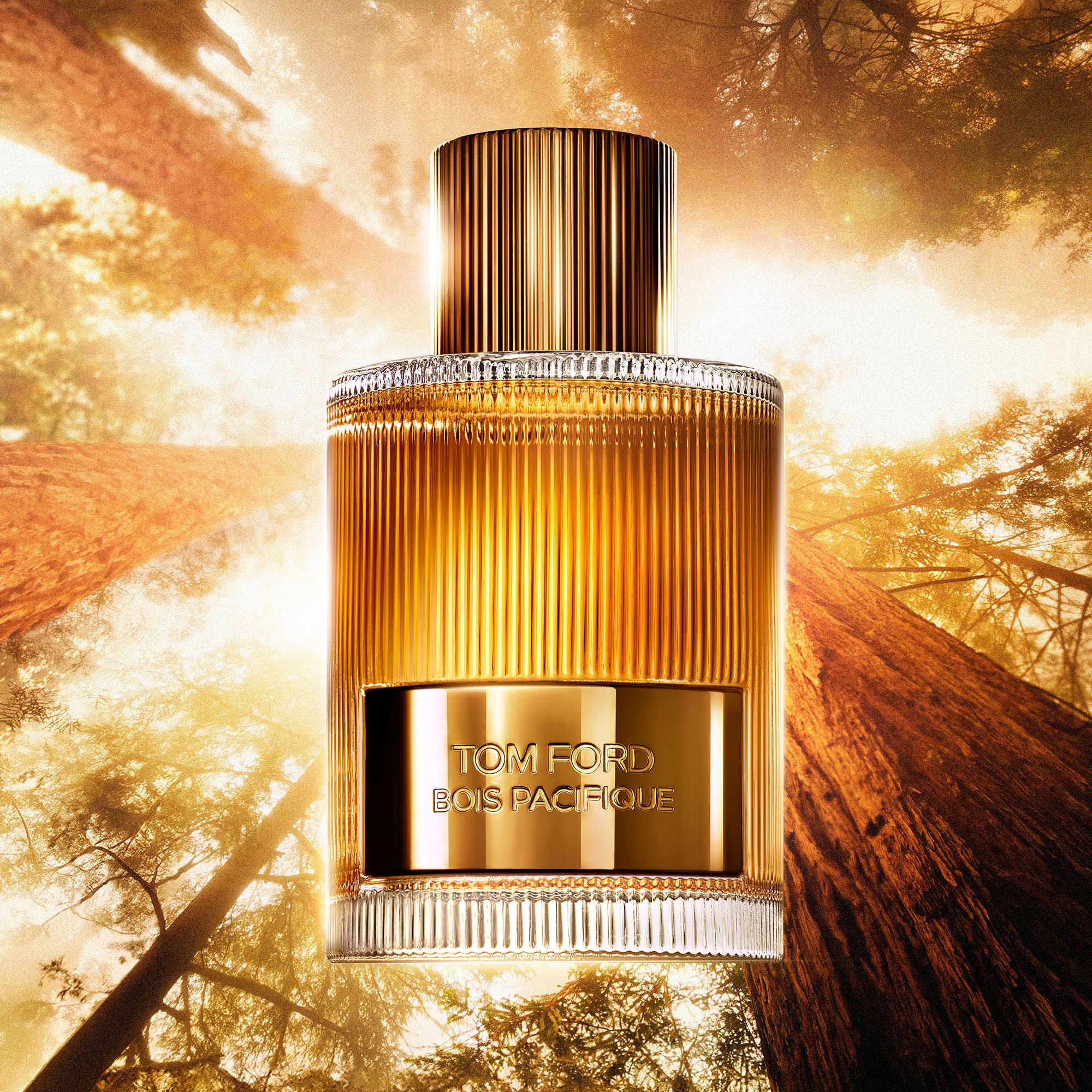 Bois Pacifique Eau De Parfum Fragrance - Image 6