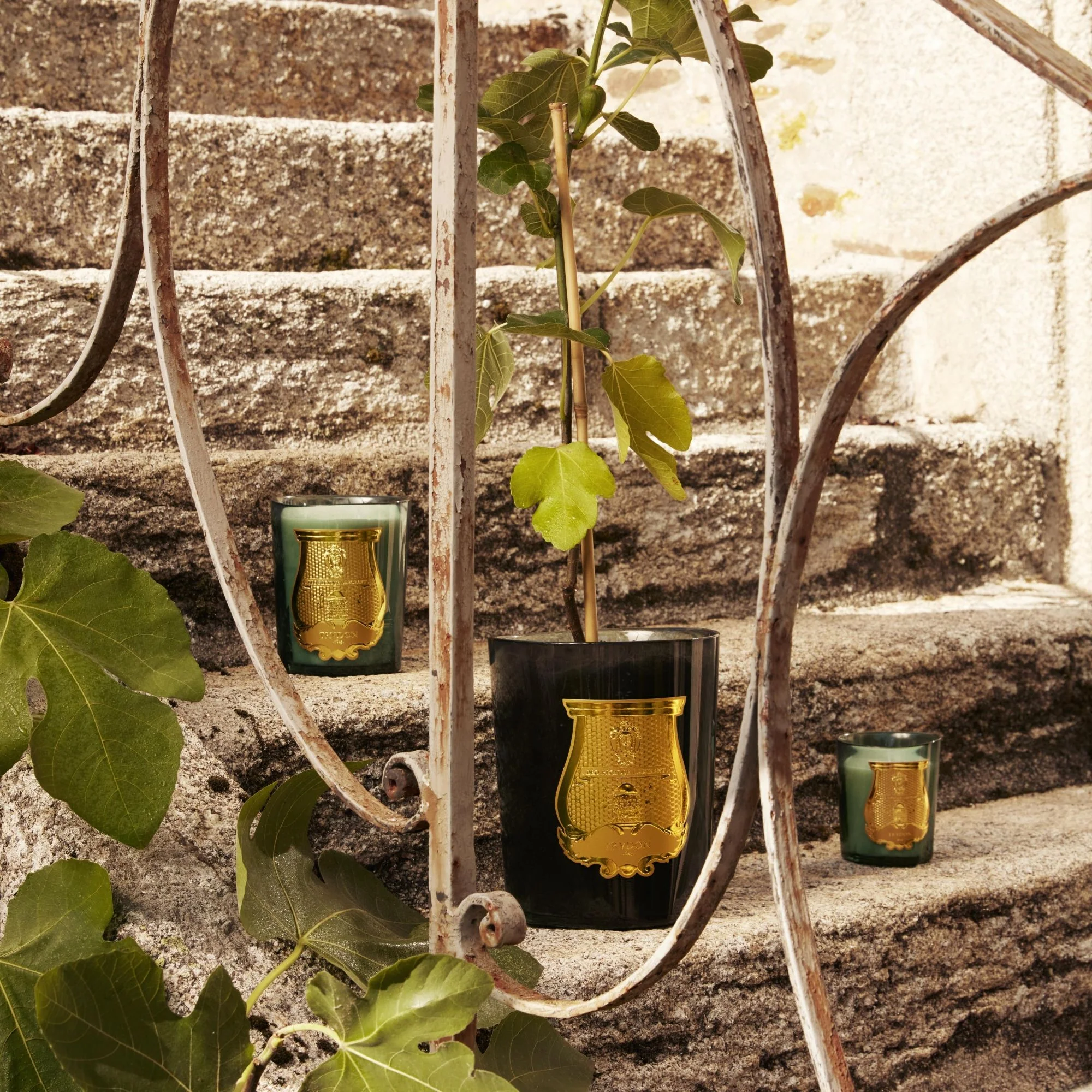 Figuerie Scented Candle - Image 7